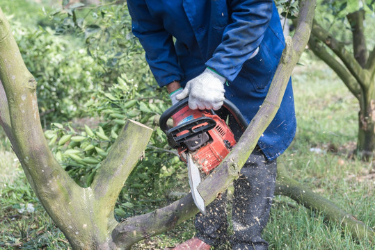 園林剪刀與園林工具 園藝愛(ài)好者的得力助手